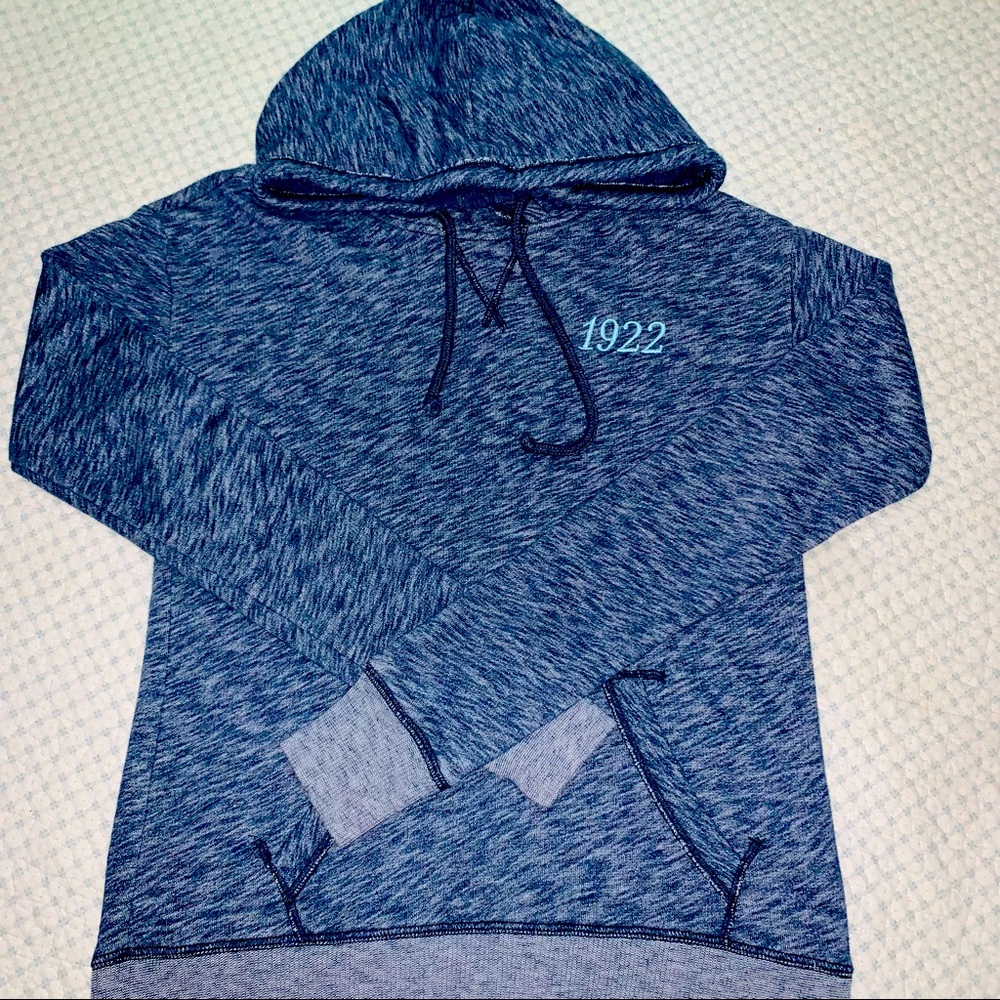 Hollister Faded Blue Hoodie Size XS